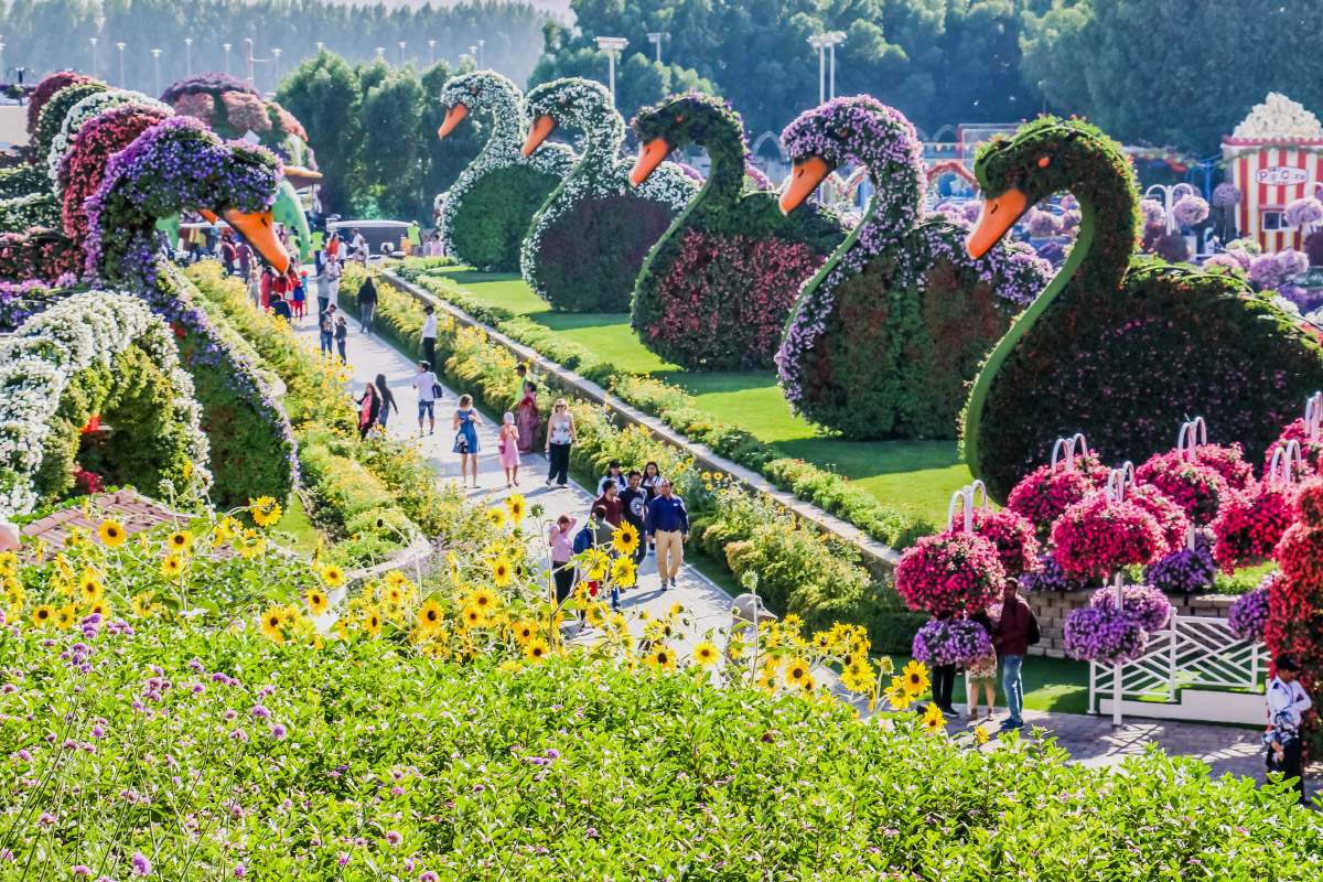 Лебеди из цветов в «Саду чудес». Фотография: Abrar Sharif / Shutterstock