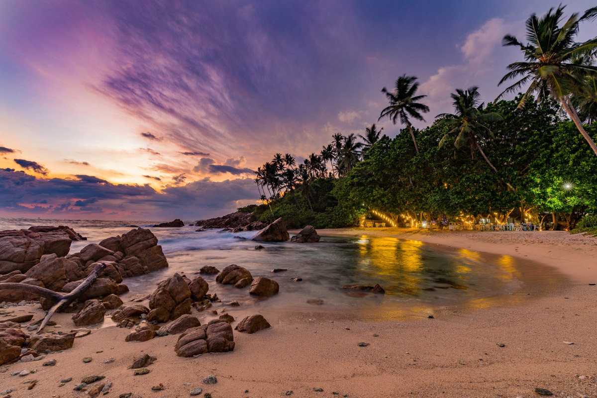 В некоторых местах джунгли подступают прямо к воде. Фотография: Stefano Borsa / Shutterstock