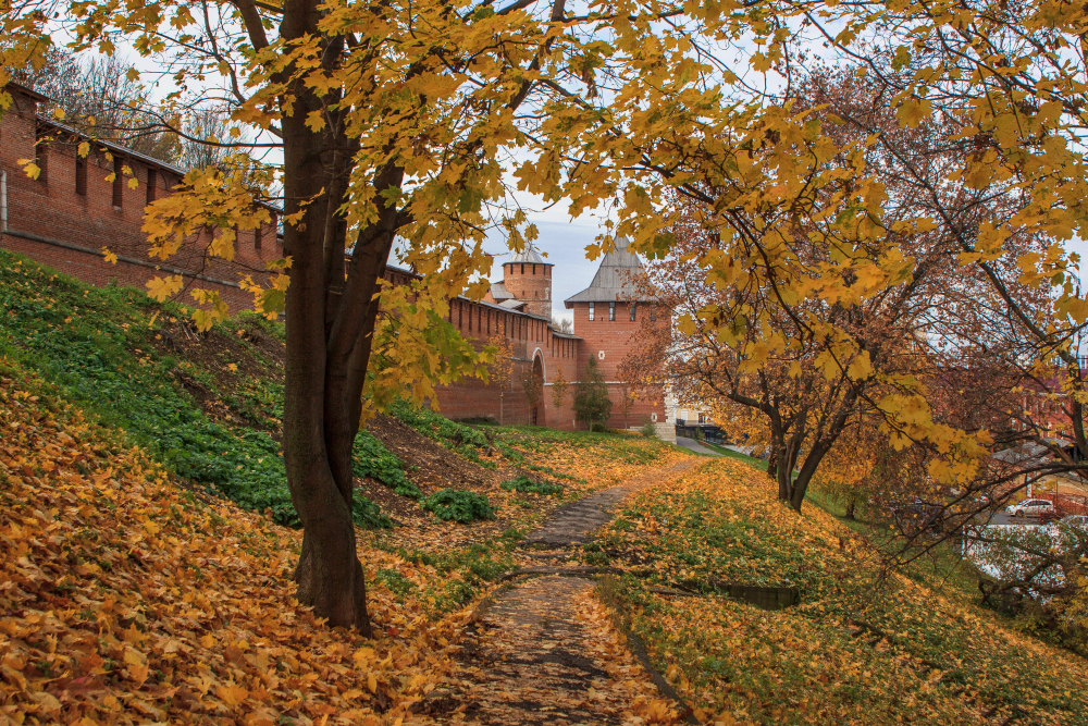 По территории кремля гуляют бесплатно. Фотография: Tatiana Shakhova / Shutterstock / FOTODOM