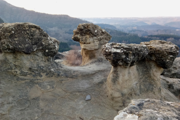 Каменные грибы на Красном Солнышке в Курортном парке Кисловодска