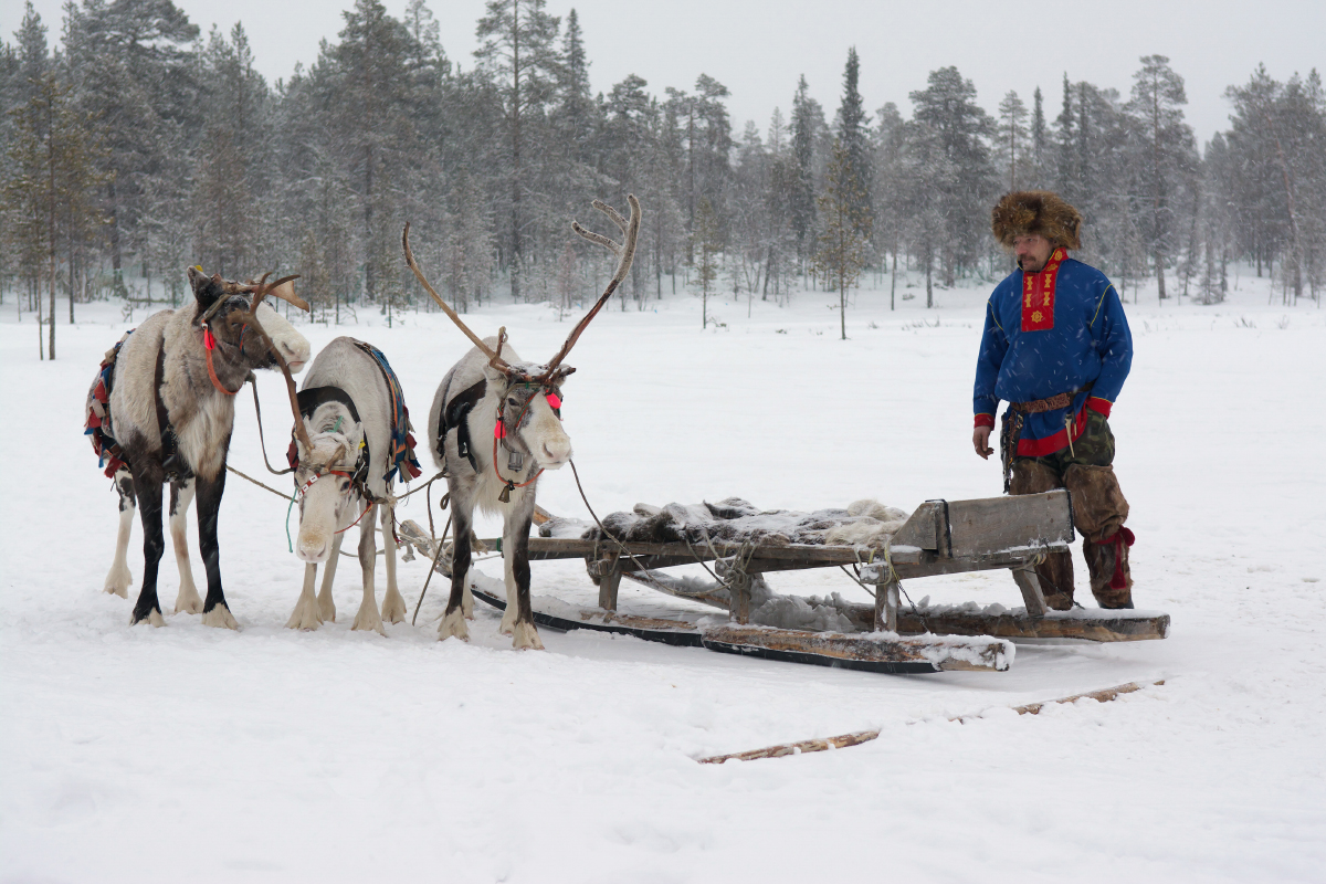 В Ловозере катают на санях. Фотография: VPales / Shutterstock