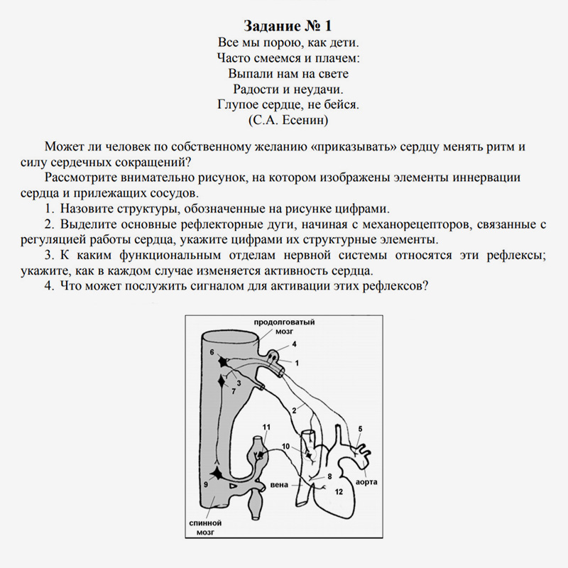 Задание по психологии для учеников 10⁠—⁠11 классов