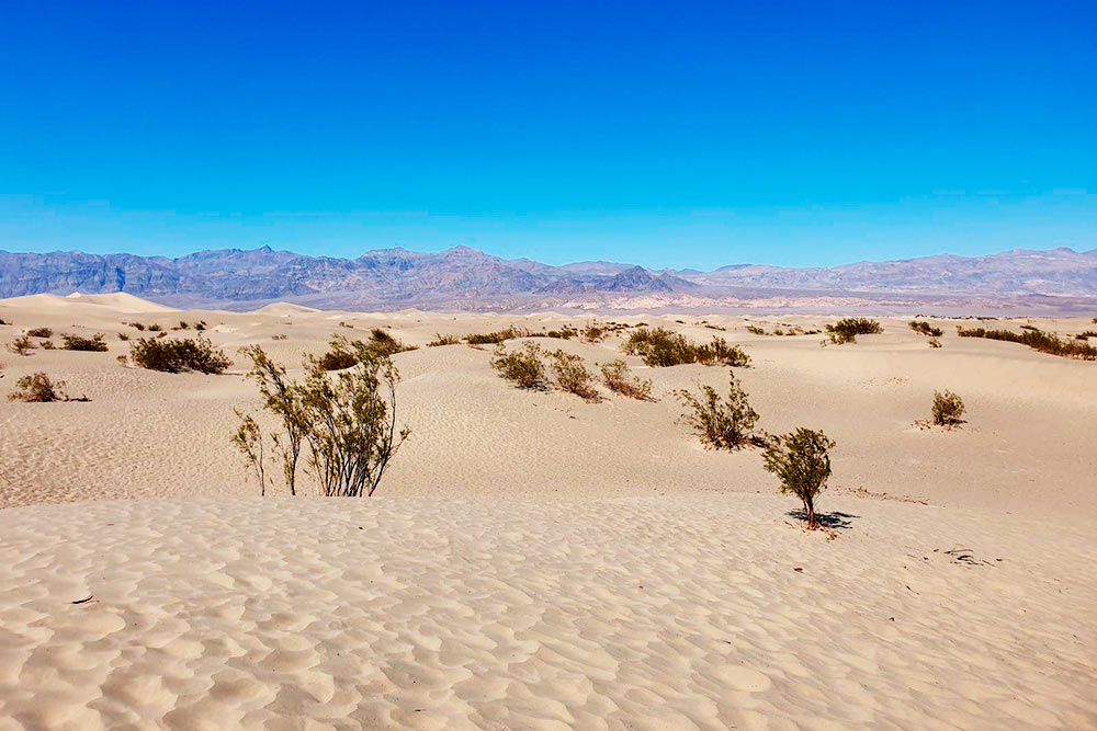 Дюны Mesquite Flat, где снимали эпизоды фильма «Звездные войны». Их высота может быть до 10 метров, но летом здесь невыносимо жарко, поэтому долго гулять не выйдет