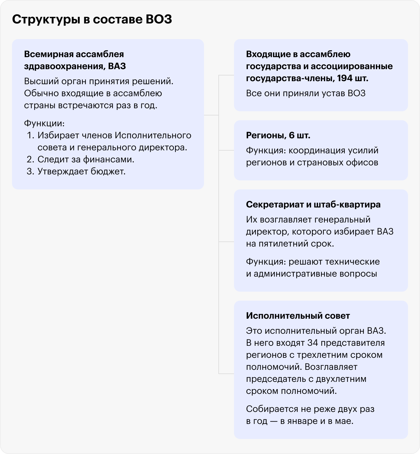 Структура ВОЗ. Источник: Комитет Европейского парламента по окружающей среде