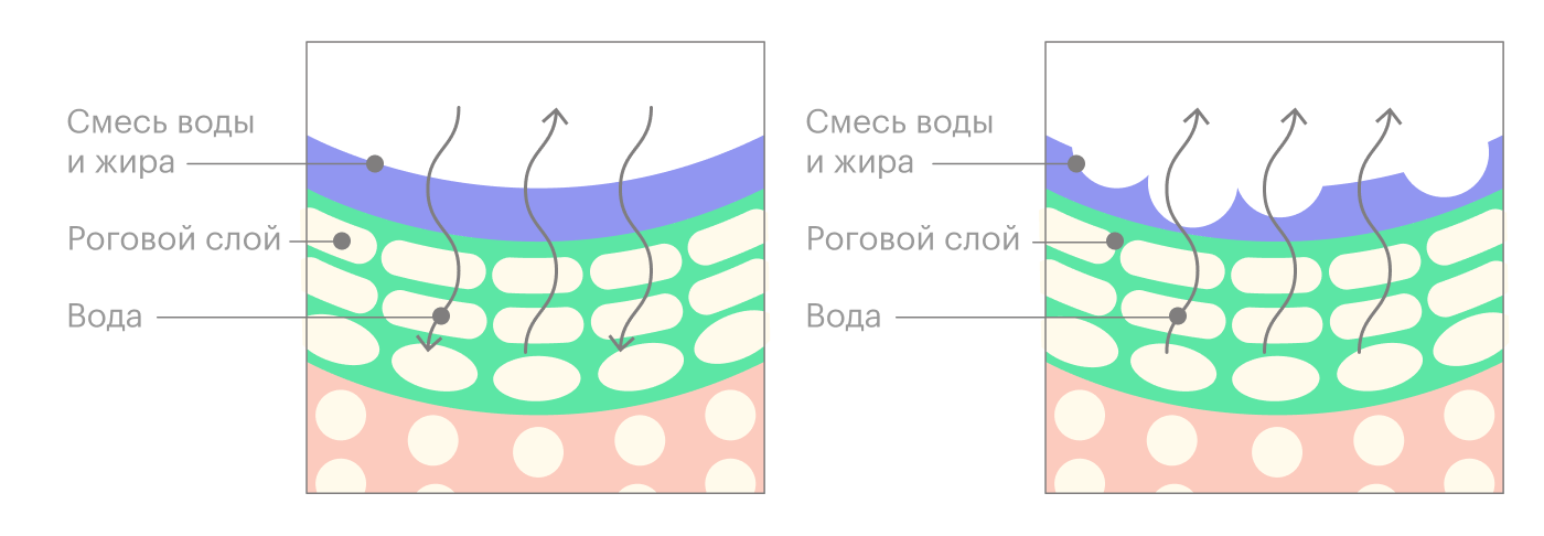 При нормальной влажности воздуха кожа не теряет влагу и восполняет потерю извне. При сухом воздухе кожа теряет больше влаги и становится проницаемой и обезвоженной