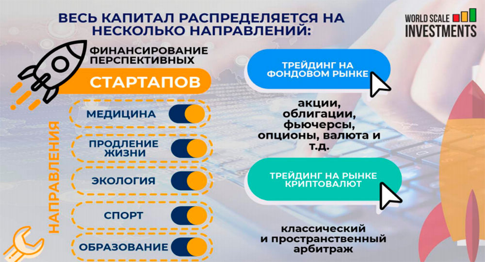 Наукообразная инфографика распределения инвестиций. Я понимала, что даже 45% годовых в долларах — нереальные ставки. Но рынок криптовалют только развивается, можно урвать больше обычного. А тут еще и акции, и социальная польза