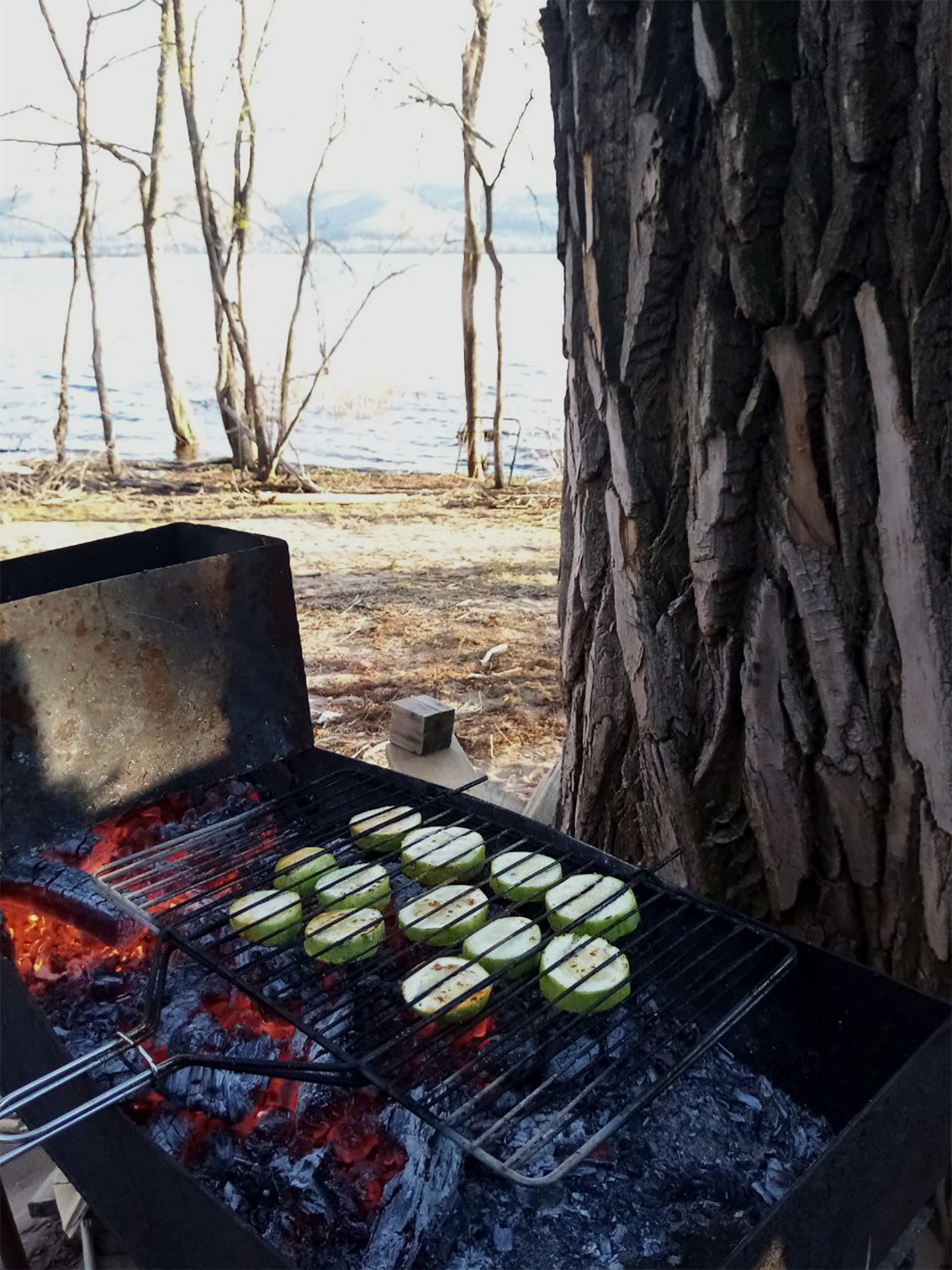 А это первомайские шашлыки