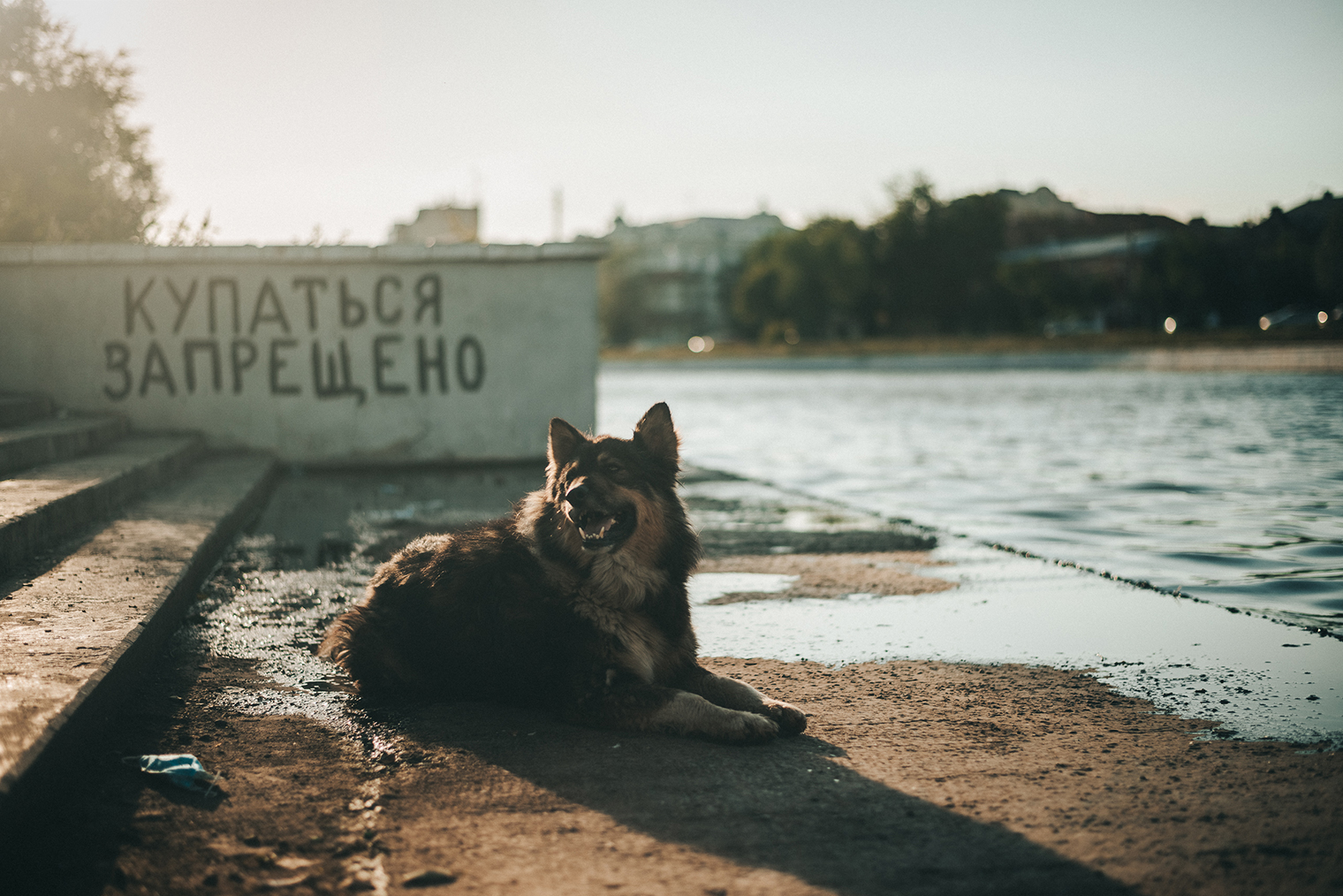 Фотографии: Ярослав Московкин