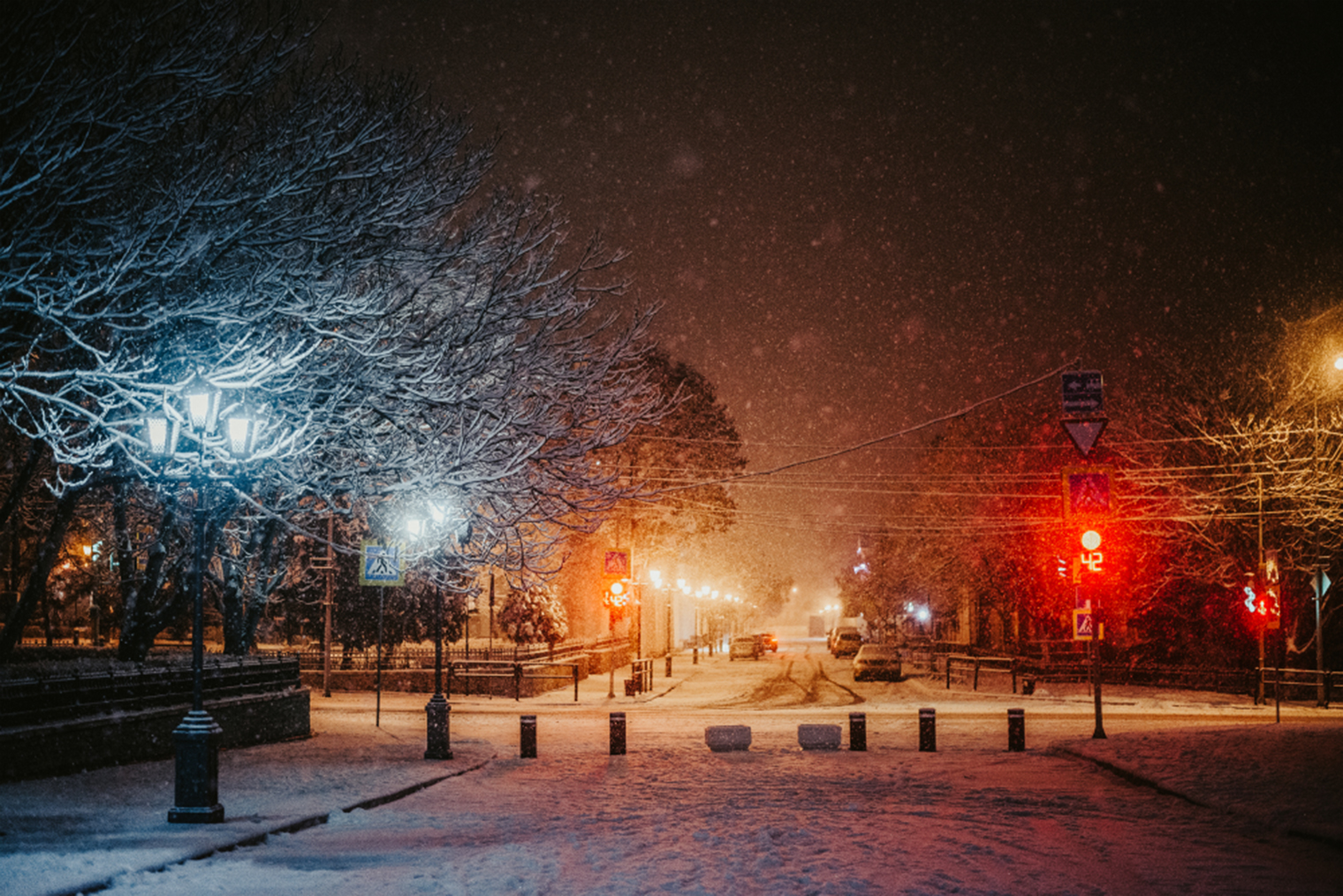 Фотографии: Ярослав Московкин