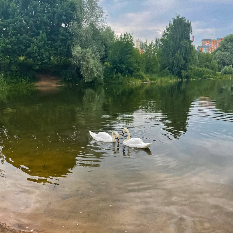 Пенягинский пруд